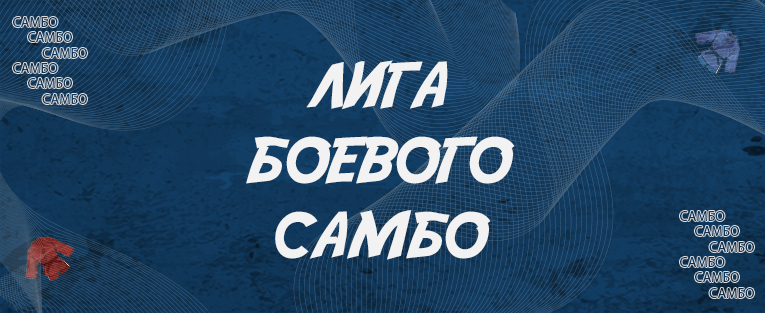 Международные соревнований «Лига боевого самбо»